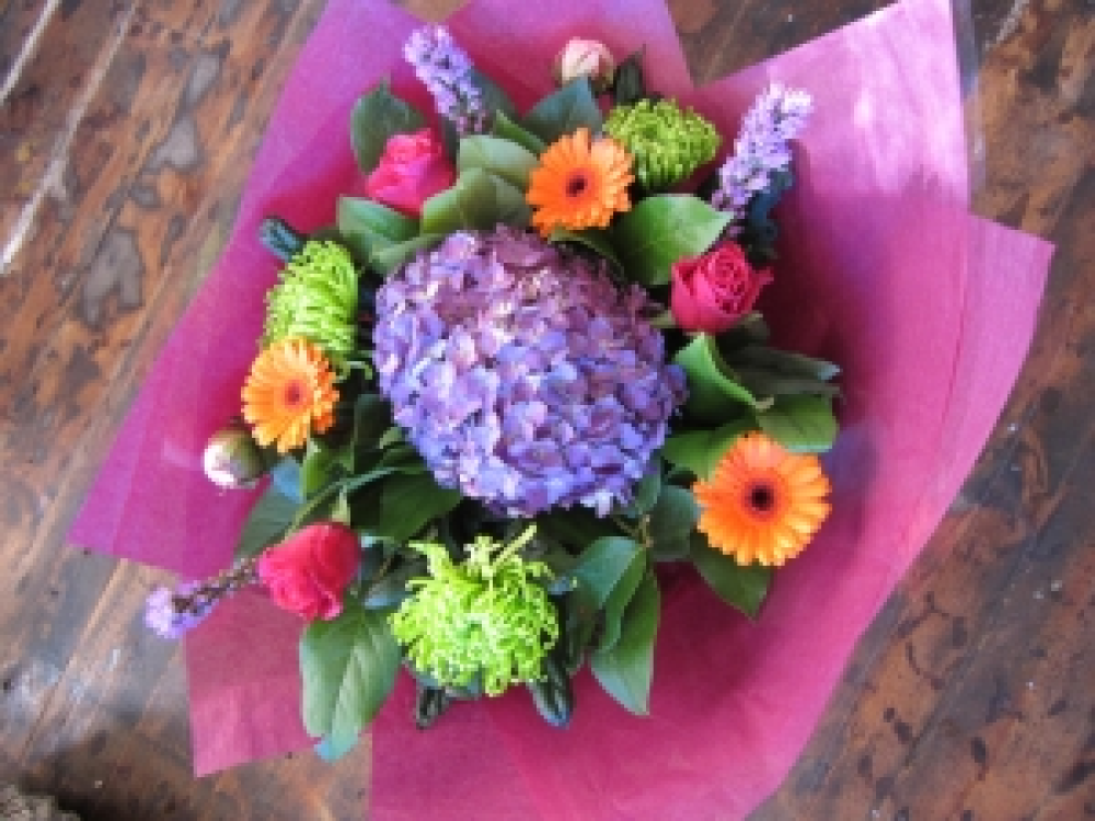 Vibrant Delight Product Image